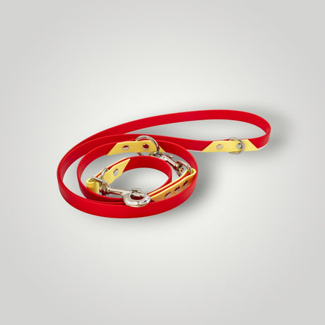 Die 2-fach verstellbare Biothane Hundeleine von Pfotenimglück in Rot-Gelb mit Metallbeschlägen und stylischem Design ist ordentlich auf hellem grauen Hintergrund zusammengerollt.