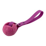 Moby Ball mit Hexa Biothane Wurfschlaufe