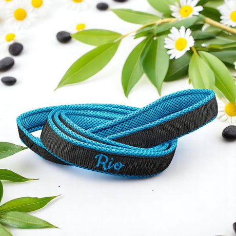 Eine blau-schwarze Mesh Retrieverleine „Dein Design“ von Pfotenimglück liegt auf weißem Grund, umgeben von grünen Blättern, weißen Gänseblümchen und schwarzen Kieselsteinen.