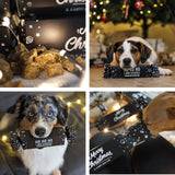 Tales & Tails Knall Nicht Bonbon Hundeleckerli