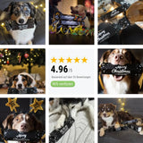 Tales & Tails Knall Nicht Bonbon Hundeleckerli