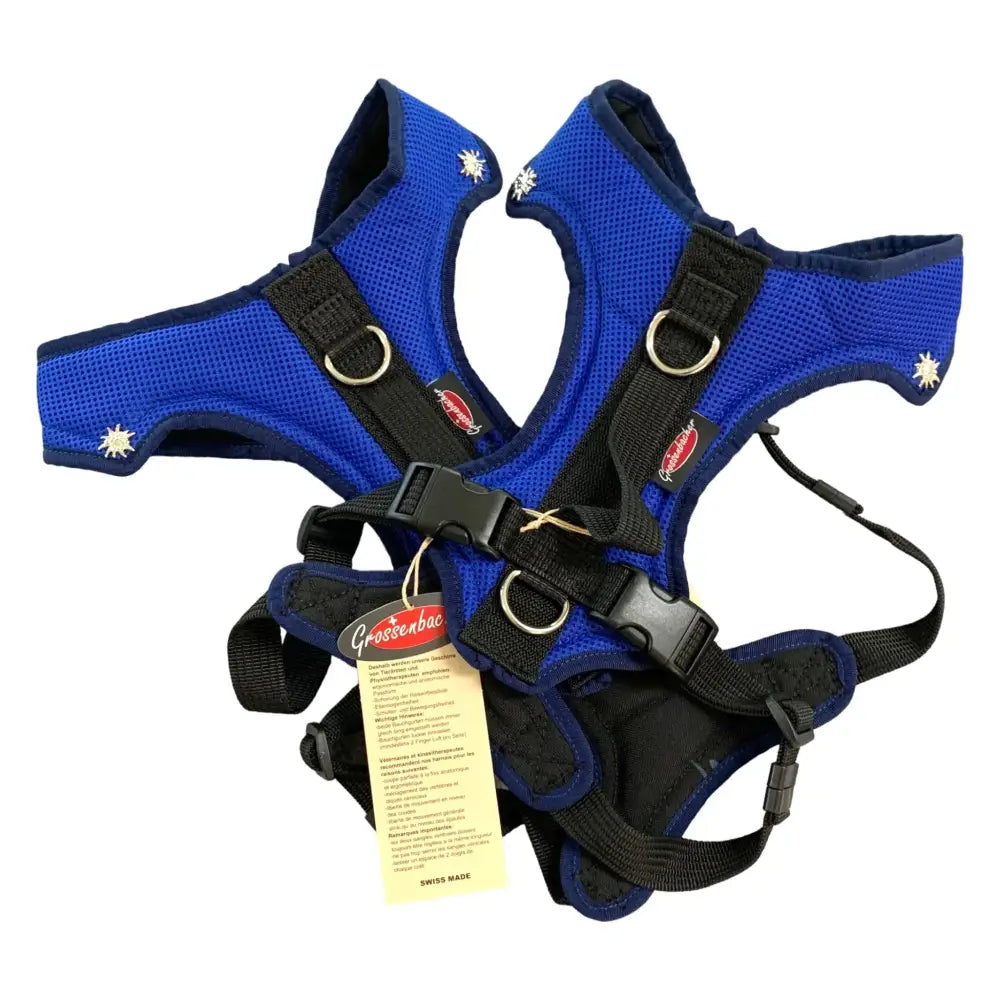 Blue dog harness with black straps for Dogs Fun Run, Beat Grossenbacher Mutz Royalblau