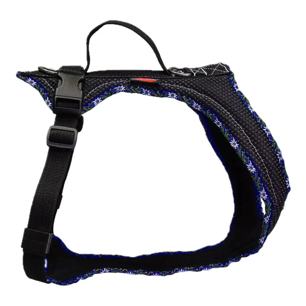Blackes Hundegeschirr mit Blumen-Details für Beat Grossenbacher Hundegeschirr Fun Run Edelweiss