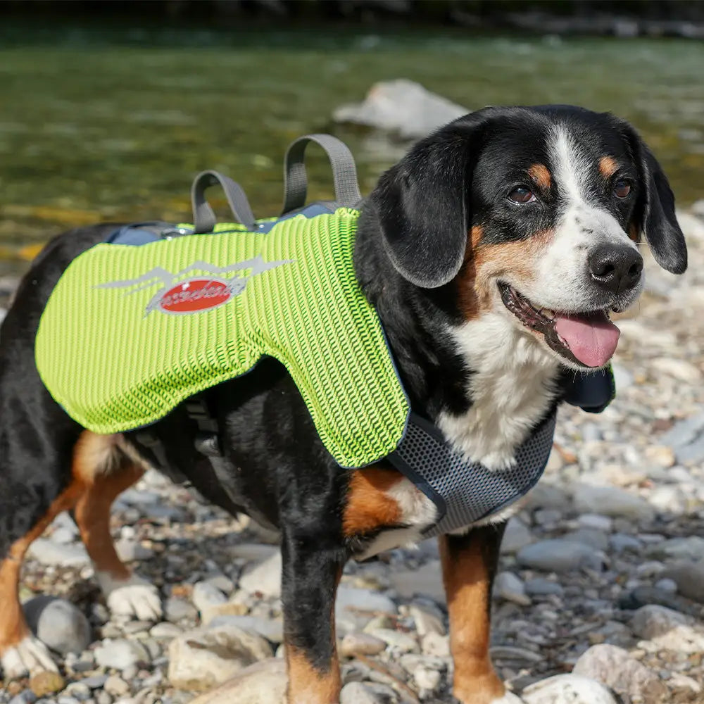 Bright limegrüne texturierte mesh hundeschwimmweste mit grauen riemen und rotem logo von beat grossenbacher