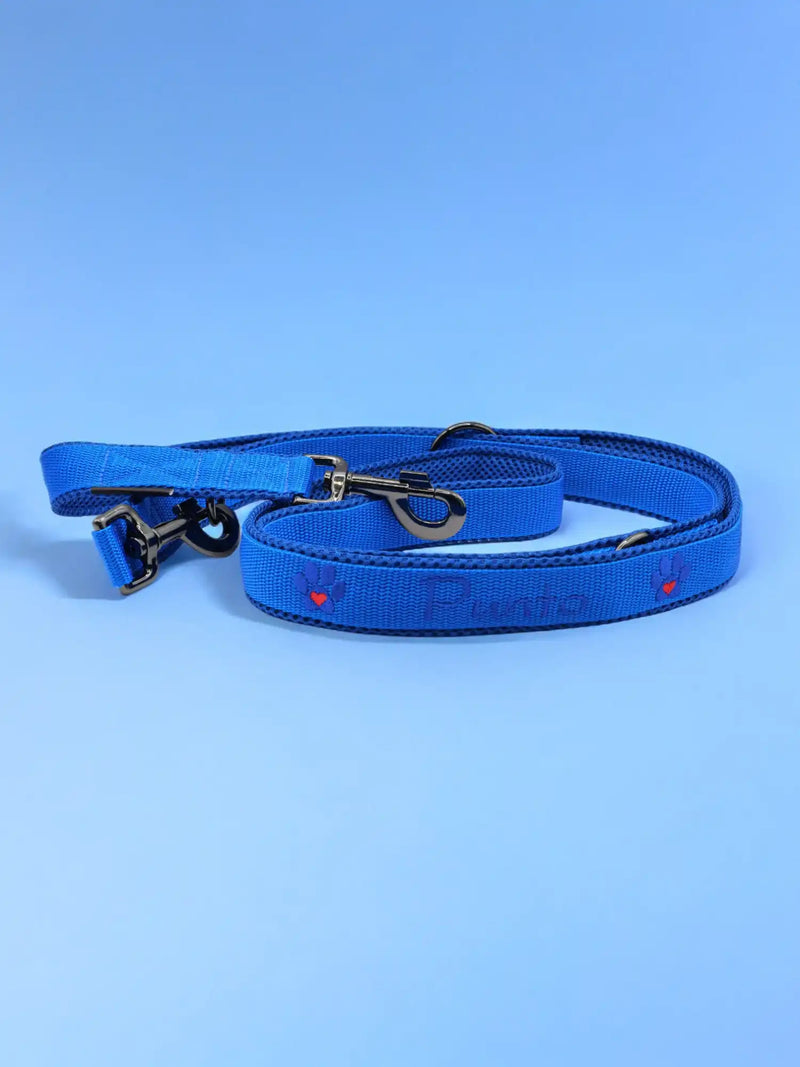 Eine blaue Hundeleine aus Nylon mit Metallverschluss liegt ordentlich aufgerollt auf einem passenden blauen Hintergrund. Die Leine ist mit kleinen roten Herzverzierungen versehen.