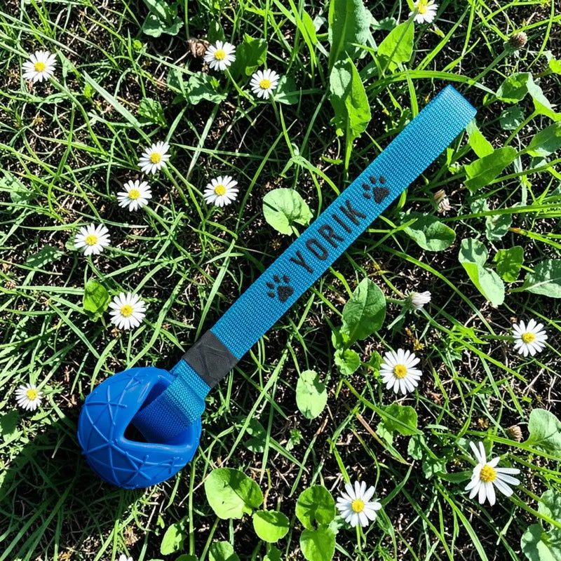 Blauer texturierter Hundespielzeug mit einem gewebten Band, das den Namen 'Yorik' und Pfotenabdrücke zeigt.