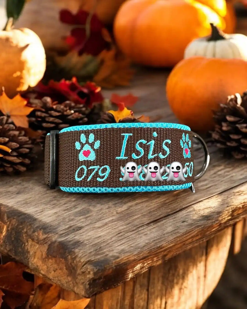 Ein individuelles Hundehalsband mit dem Namen „Isis“, türkis auf dunklem Hintergrund gestickt, verziert mit türkisfarbenen Pfotenabdrücken und Emoji-Dekorationen. Es liegt auf einer Holzoberfläche, umgeben von Tannenzapfen und Kürbissen, und fängt so ein gemütliches Herbstthema ein.