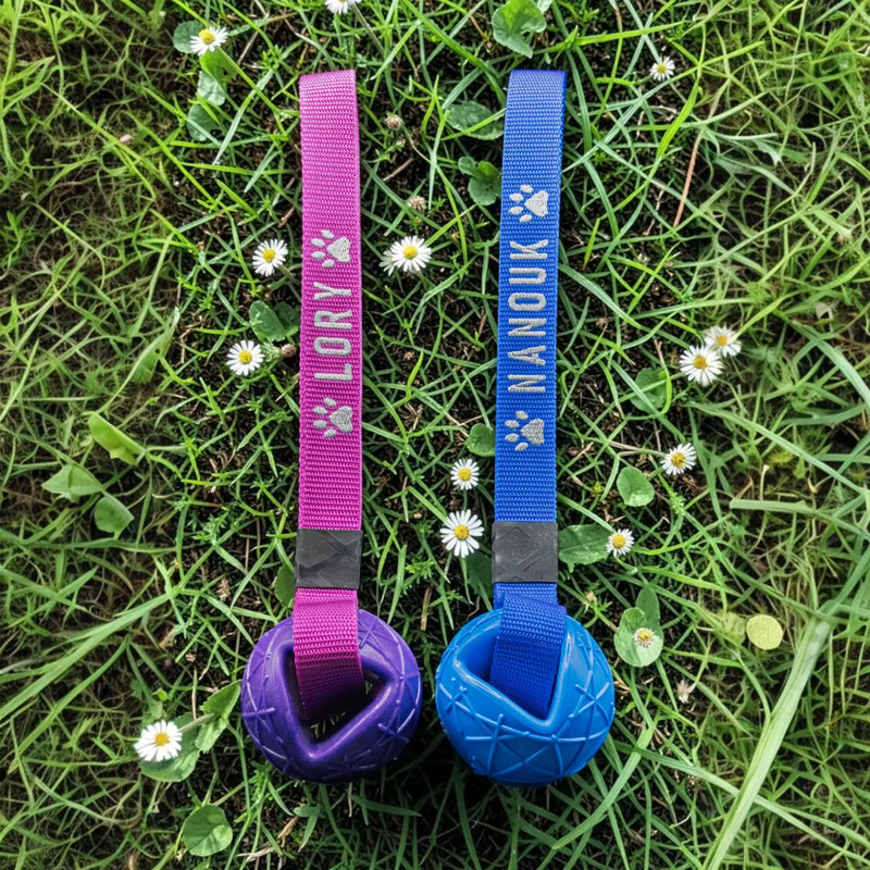 Zwei bunte Hundespielzeuge, jedes mit einem texturierten Ball mit angebrachtem Stoffgurt, personalisiert mit einem Namen und Pfotenabdruck-Design.