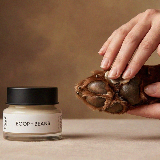 BOOP BEANS L'floof Nasen und Pfotenbalsam, vegane Pflegecreme für empfindliche Hundehaut an Nase und Pfotenballen