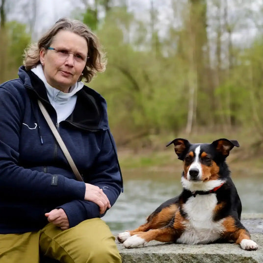 Dreifarbiger Hund mit schwarz-braun-weißem Fell, der auf einer Steinoberfläche liegt