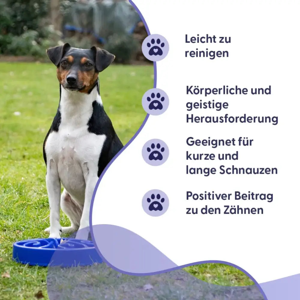 Blaue kreisförmige Slow-Feedernapf Eat Slow Live Longer für Hunde