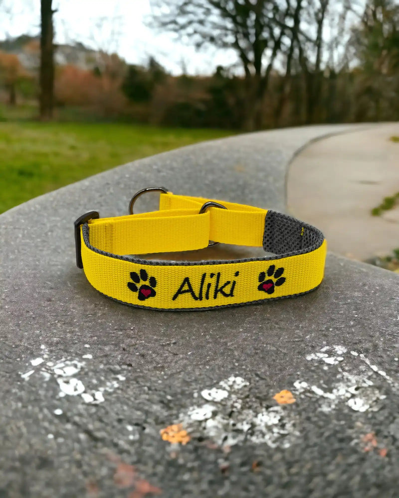 Ein gelbes Haustierhalsband mit dem Namen „Aliki“ und Pfotenabdruckmuster liegt auf einer geschwungenen Steinoberfläche im Freien in einer Parklandschaft mit verschwommenen Bäumen und einem Gehweg im Hintergrund.