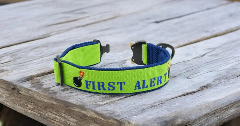 Hundehalsband mit Namen bestickt