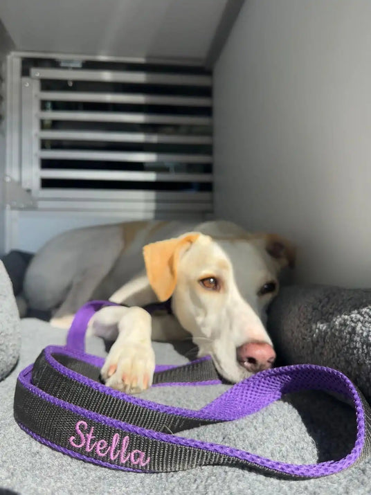 Hundeleine mit aufgesticktem „Stella“.