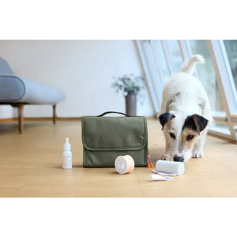 Grüner Hunde Erste-Hilfe-Set Bano mit Griff, top Hilfeutensilien griffbereit, Erste-Hilfe-Beutel