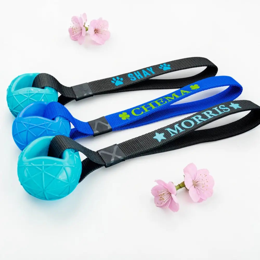 Personalisierte Moby Hundeball mit Wurfschlaufe, Namen wie Shay