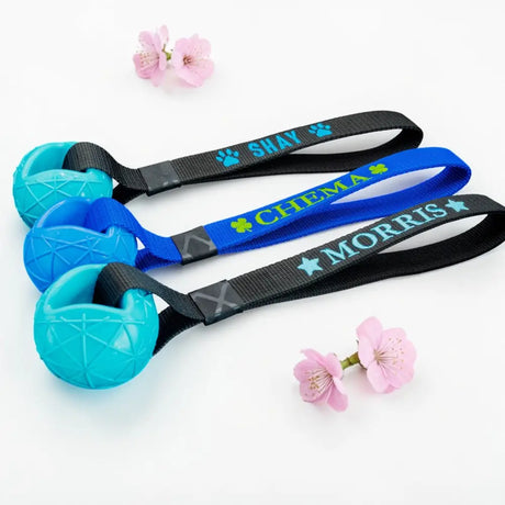 Personalisierte Moby Hundeball mit Wurfschlaufe, Namen wie Shay