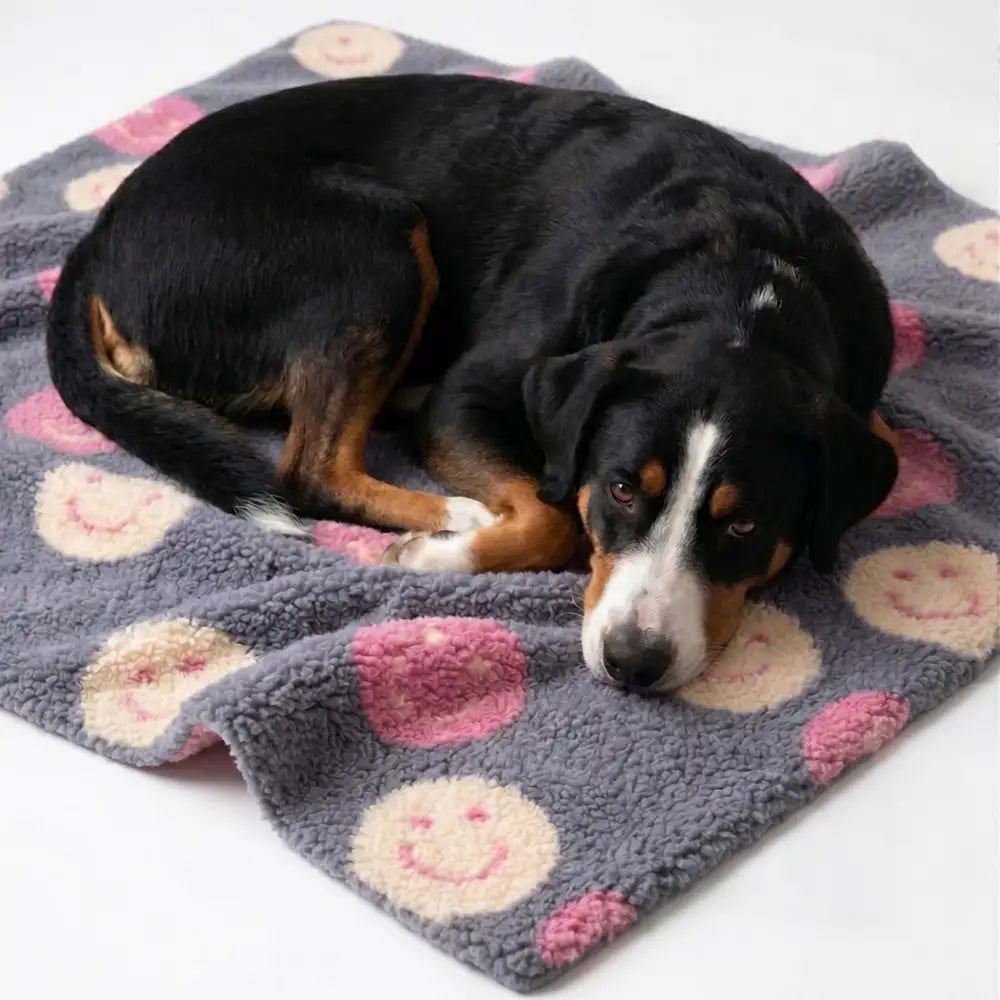 Cozy graue hundedecke smiley to go mit rosa und cremefarbenen lächelndem patch aus plüsch, kompakt faltbar