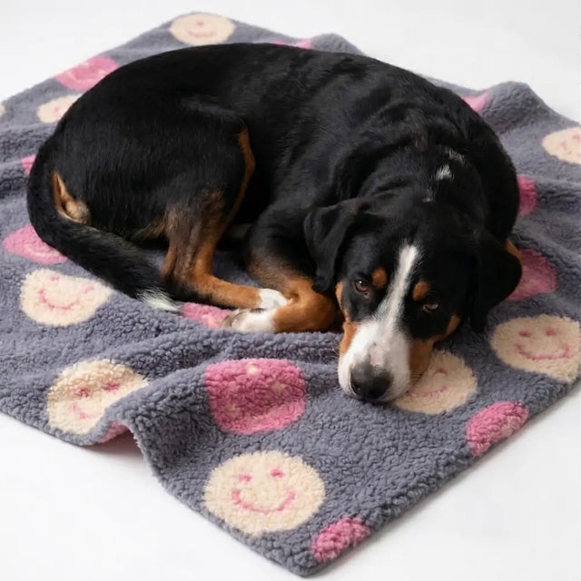 Cozy graue hundedecke smiley to go mit rosa und cremefarbenen lächelndem patch aus plüsch, kompakt faltbar