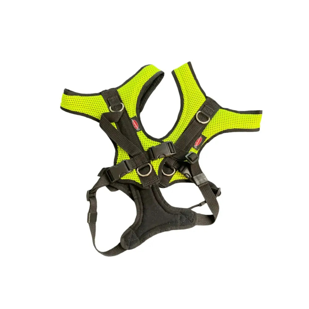 Neon grünes und schwarzes Hundegeschirr Beat Grossenbacher Hundegeschirr Dogs Fun Run Leuchtgelb