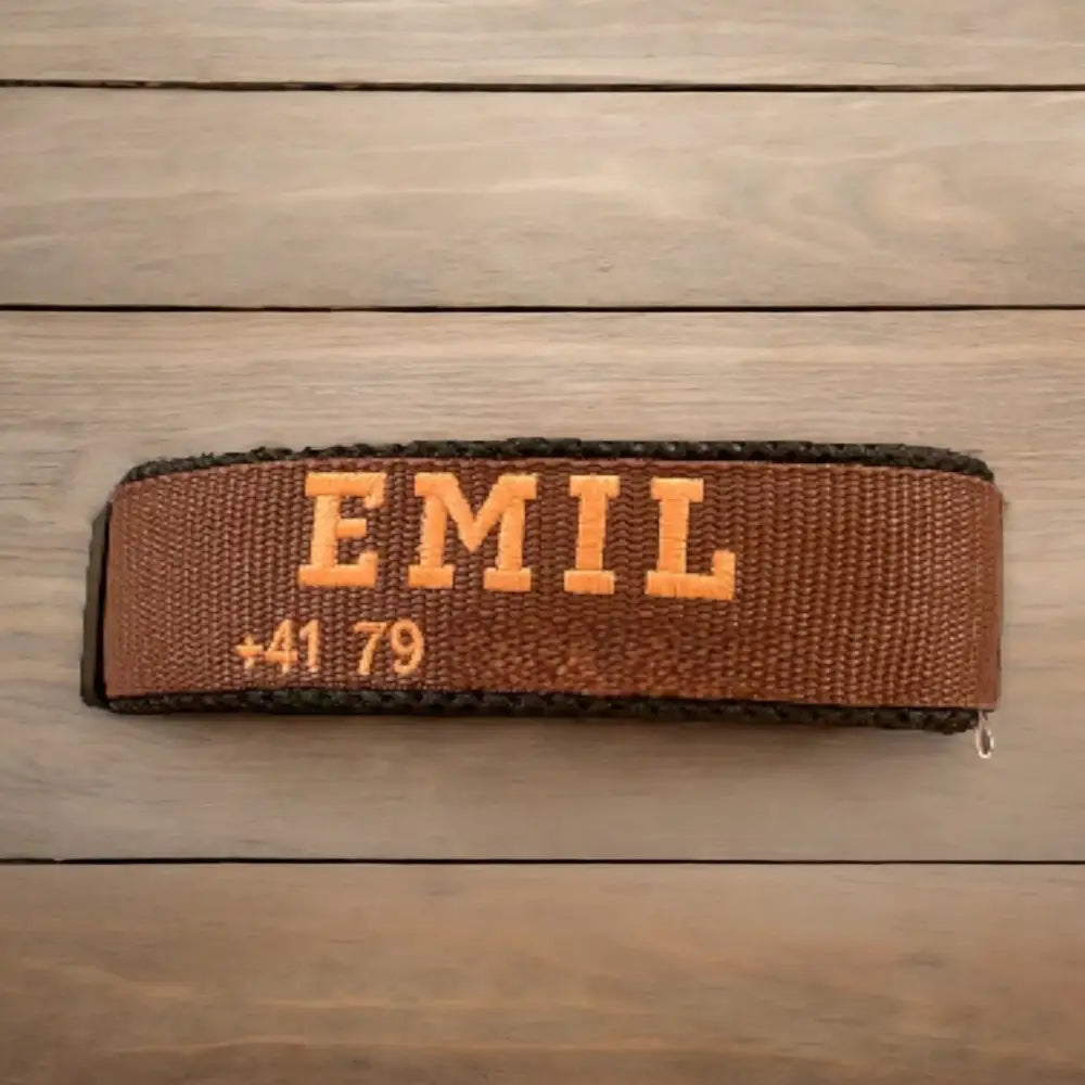 Braunes Hundehalsband mit FIDLOCK® Magnetverschluss, Name, Telefon, statische Bruchlast