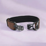 Hundehalsband mit FIDLOCK® V-Buckle Magnetverschluss, robust mit statische bruchlast