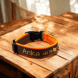Hundehalsband mit Namen