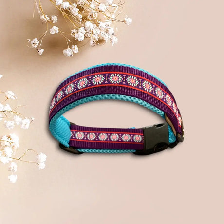 Hundehalsband mit Webband in Türkis und Lila für einzigartigen Look und Hundespielzeug