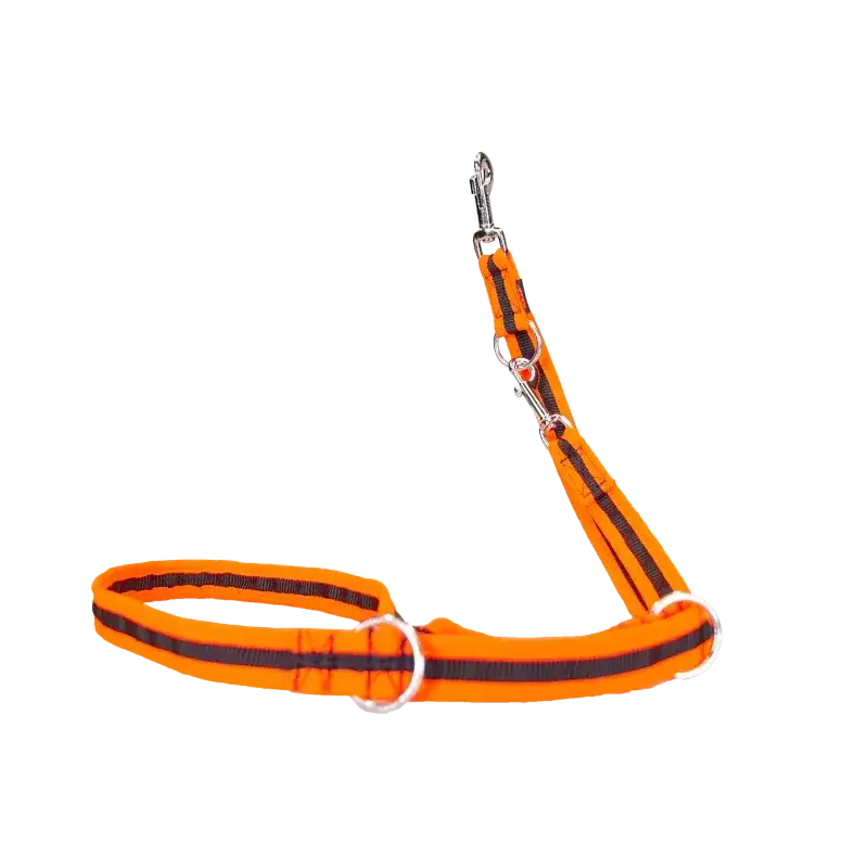 Orange und schwarze gestreifte Hundeleine eingefasst von Beat Grossenbacher, verschieden breiten