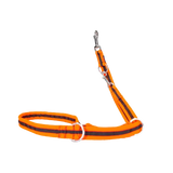 Orange und schwarze gestreifte Hundeleine eingefasst von Beat Grossenbacher, verschieden breiten