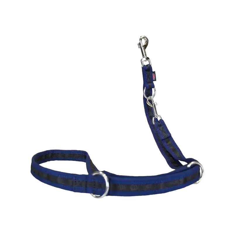 Blaue Hundeleine eingefasst von Beat Grossenbacher mit Metall-Hardware, verschieden breiten