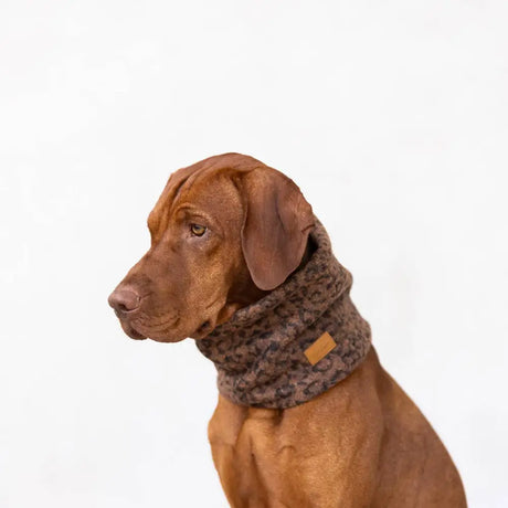 Eleganter Hunde-Schlauchschal Teddy in Leoprint mit flauschigem Teddy-Plüsch als Kälteschutz