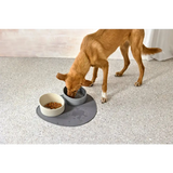 Hundenapf Cali echtes Highlight mit Hundespielzeug auf dunklem Mattenboden