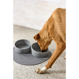 Hundenapf Cali mit braunem Hund, weißer Pfote, auf grauem Mat, echtes Highlight