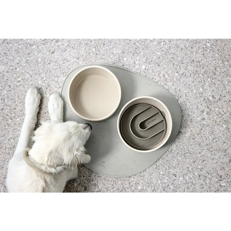 Weißer Hund liegt neben Hundenapf Cali und Hundespielzeug auf Matte, echtes Highlight