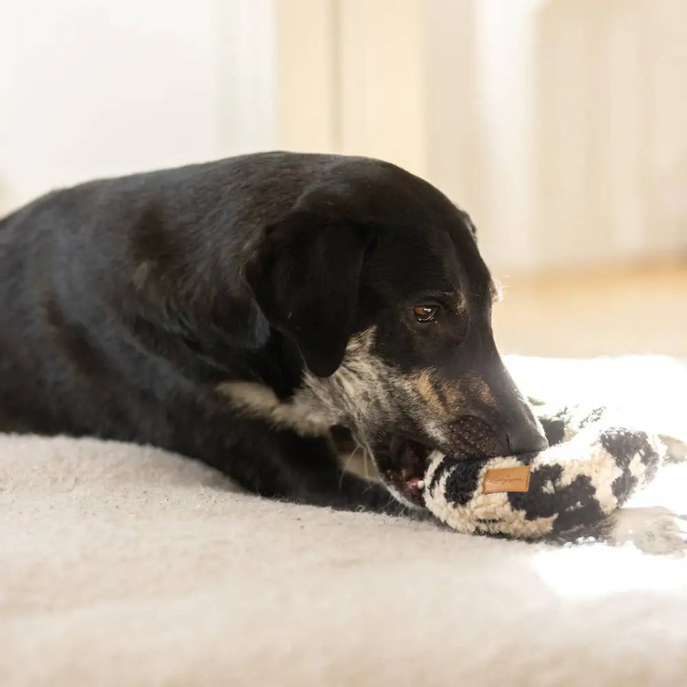 Leo Donut Kuscheliges Knister-Hundespielzeug aus flauschigem Teddystoff mit Knistern für Kuschelspiele