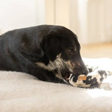 Leo Donut Kuscheliges Knister-Hundespielzeug aus flauschigem Teddystoff mit Knistern für Kuschelspiele