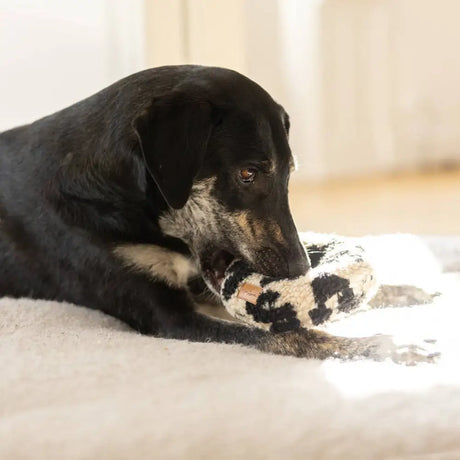 Leo Donut Kuscheliges Knister-Hundespielzeug nachhaltiges Hundezubehör aus flauschigem Teddystoff in dunkelbraun