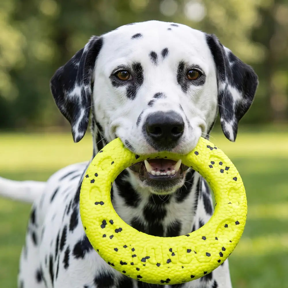 Bright yellow textured rubber kong reflex flyer dog toy with black speckles for active play