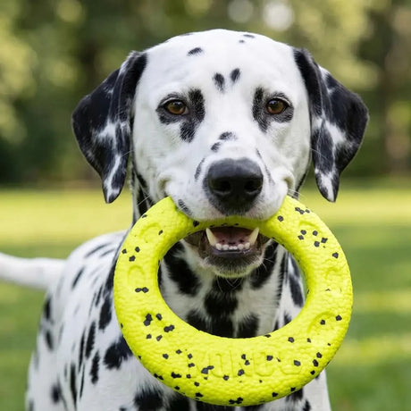 Bright yellow textured rubber kong reflex flyer dog toy with black speckles for active play
