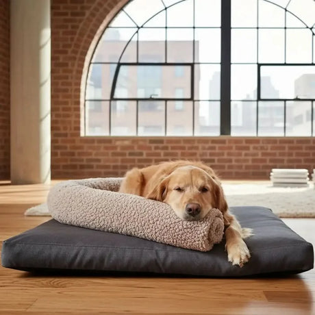 Golden retriever liegt auf dunkelgrauem kuschelkissen mit beigem kuschelrolle snoozle paddy gravel hundespielzeug