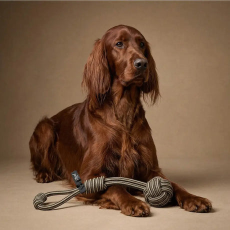 A l’floof rope tug rope tug toy with knotted design in black and white cotton, ideal for dogs to play with