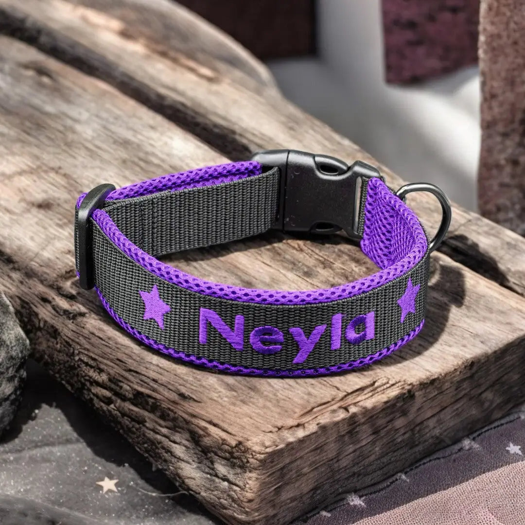personalisierte hundehalsband in lila und grau mit gesticktem namen neyla und sternmotiven für stilvolle und individuelle hundeaccessoires