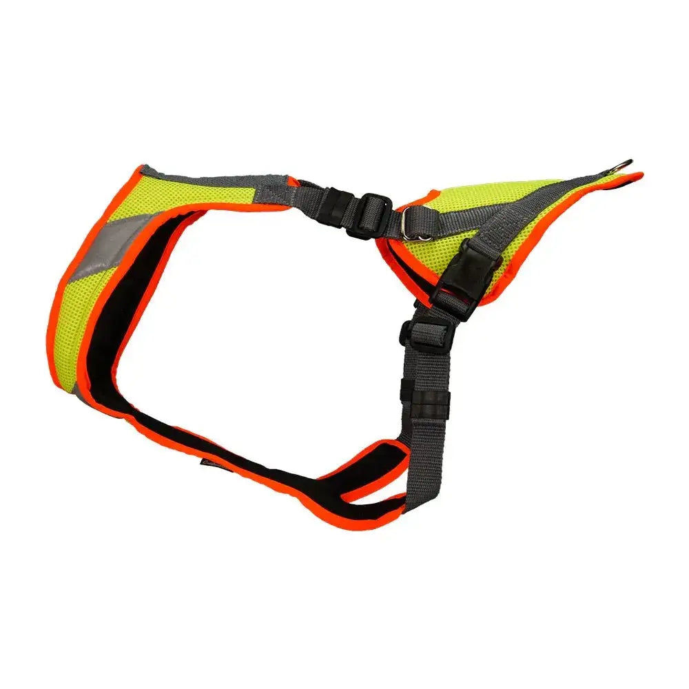 Neon gelbes Hundegeschirr mit orangefarbenem Rand für prager rattler border terrier mantrailing v-geschirr