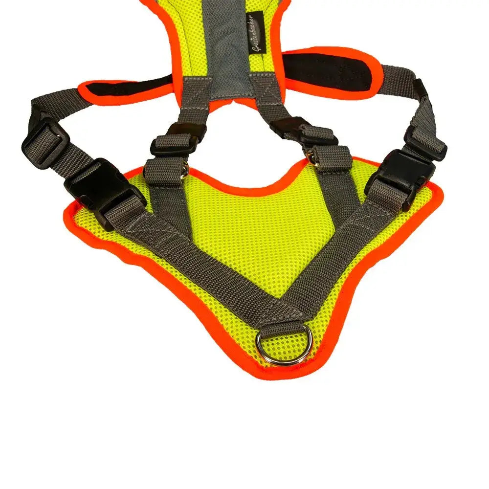 Neon gelbes und oranges Hundegeschirr für Mantrailing V-Geschirr mit Reflektor