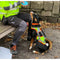 Hundegeschirre für Sport & Ausbildung