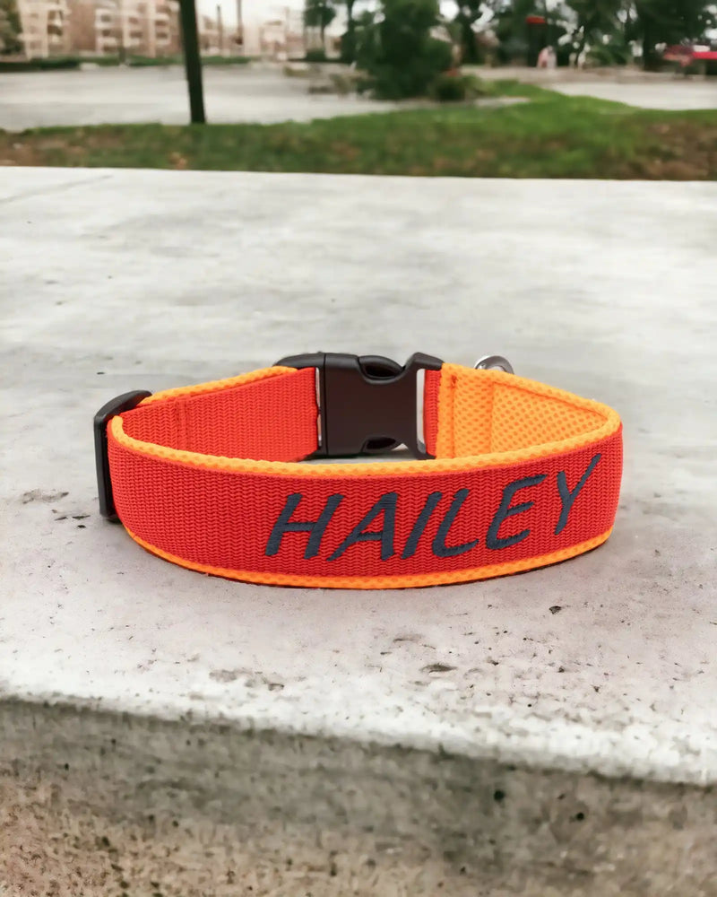Ein leuchtend orangefarbenes Hundehalsband mit dem in blauer Schrift aufgestickten Namen „HAILEY“ liegt auf einer Betonfläche. Das Halsband hat eine schwarze Kunststoffschnalle. Im Hintergrund ist eine verschwommene Stadtlandschaft mit Gras und Asphalt zu sehen.