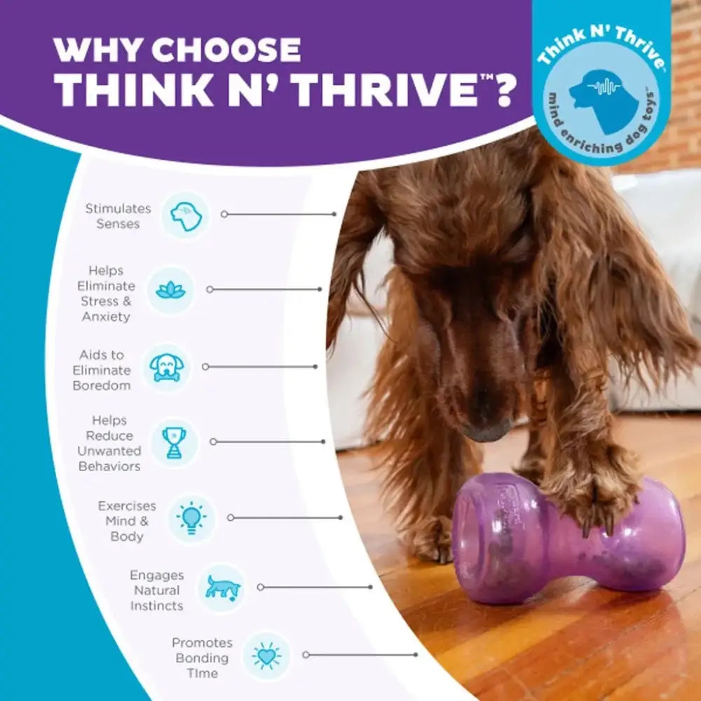 Hund mit purplem Dumbbell-Spielzeug aus Outward Hound Double Snoop Lila