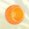 Orbee-Tuff Snoop von Outward Hound, orange, glänzendes, hohles interaktives leckerli-spielzeug