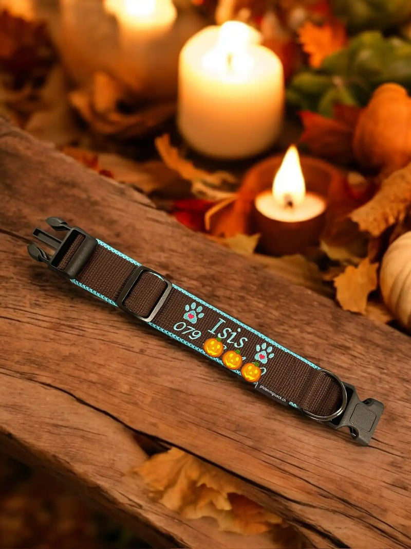 Ein Hundehalsband mit Namen, Pfotenabdrücken und Telefonnummer liegt auf einer Holzoberfläche. Im Hintergrund sorgen Kerzen, Herbstblätter und Kürbisse für herbstliche Stimmung.